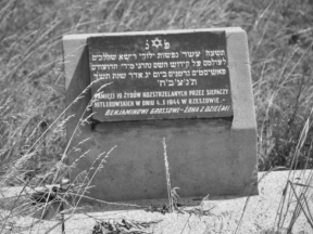 Miejska galeria fotografii w Rezsowie poszukuje zdjęć żydowskiego cmentarza przy ulicy Dołowej