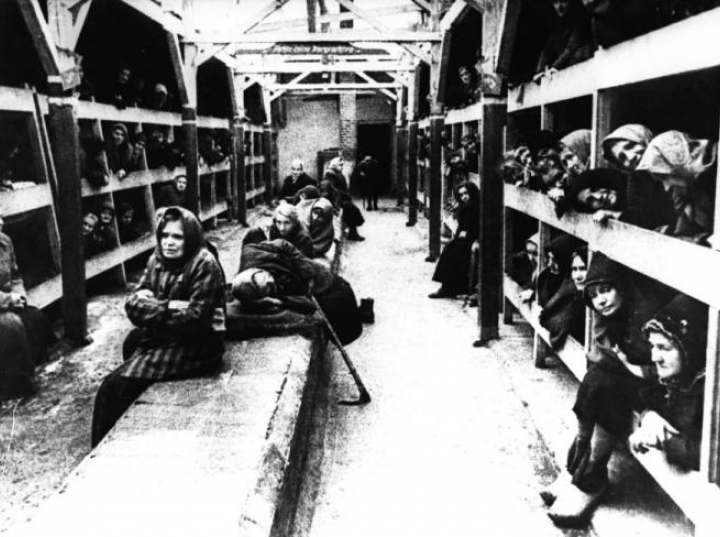 U Nas W Auschwitzu Streszczenie Szczegółowe 73 lata temu Armia Czerwona otworzyła bramy niemieckiego obozu