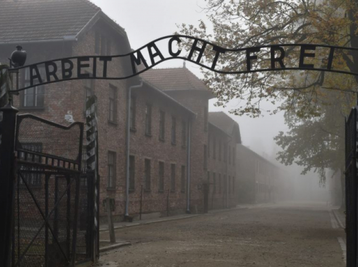 auschwitz-birkenau