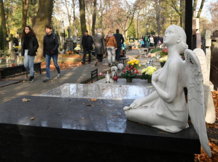 W niedzielę bezpłatny spacer edukacyjny po Cmentarzu Bródnowskim w Warszawie
