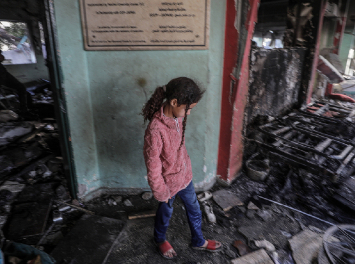 Francuski Historyk opublikował relację ze Strefy Gazy