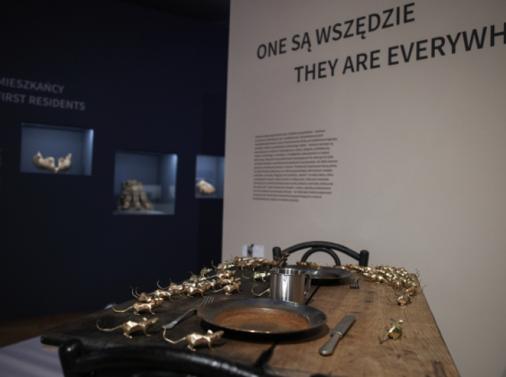W Muzeum Krakowa opowieść o relacjach ludzi i zwierząt w mieście w ciągu wieków
