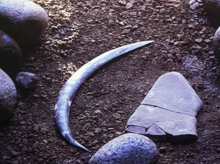 Paleolityczny bumerang z Jaskini Obłazowej jest starszy, niż przypuszczano