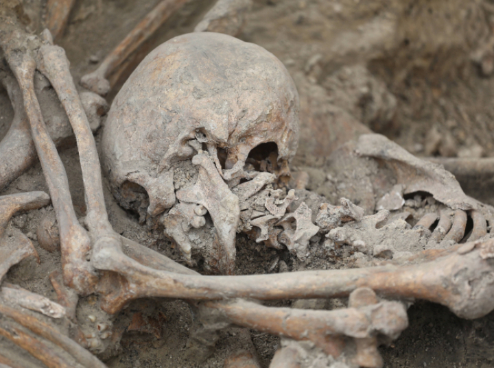 Na więziennym dziedzińcu ekshumowano szczątki osób z okresu Powstania Warszawskiego