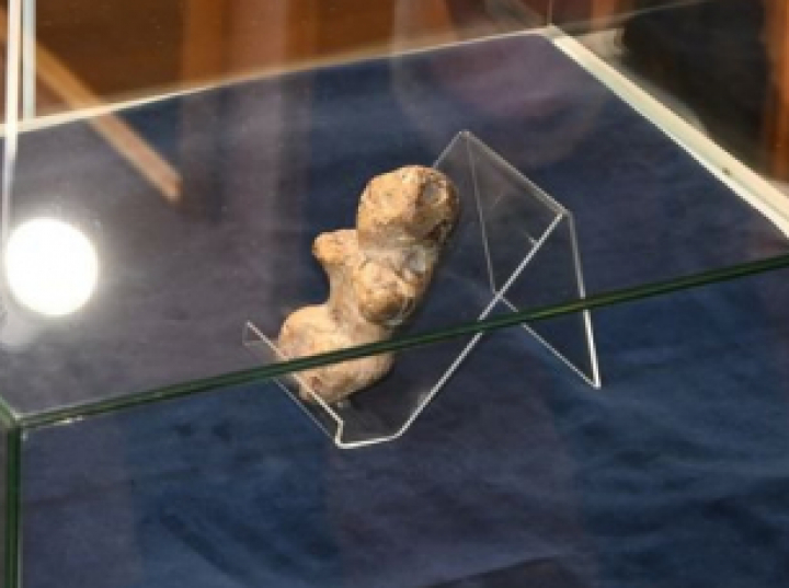 Kołobrzeska Wenus z okresu neolitu udostępniona zwiedzającym