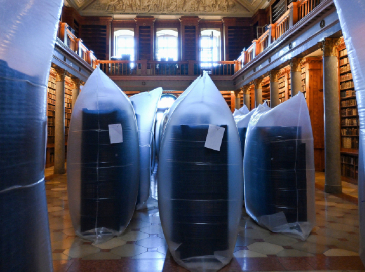 Tysiące zabytkowych ksiąg zagrożonych przez larwy chrząszcza żywiaka chlebowca. Przyczyną globalne ocieplenie