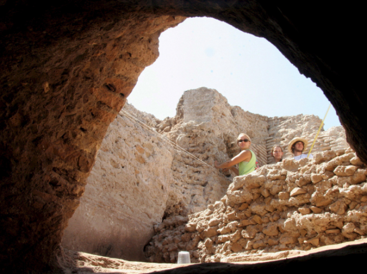 Rzymianie interesowali się przeszłością i gromadzili skamieliny