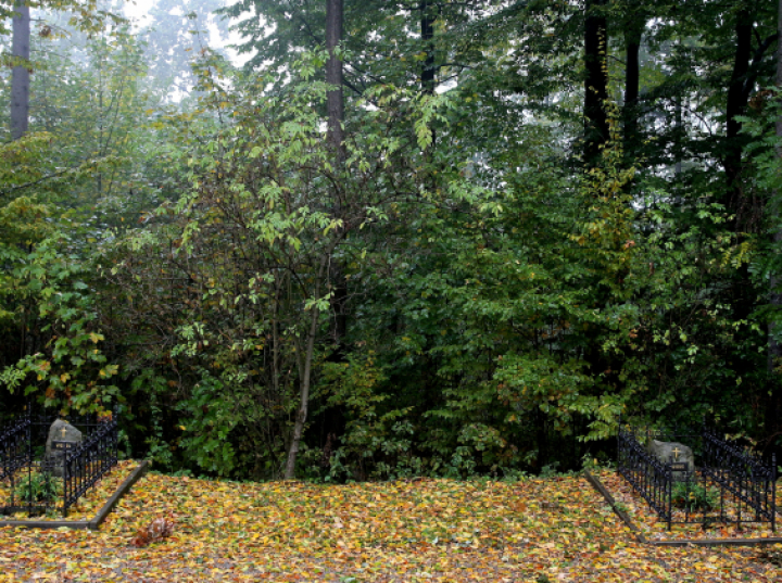 93 lata temu w katastrofie lotniczej zginęli Franciszek Żwirko i Stanisław Wigura