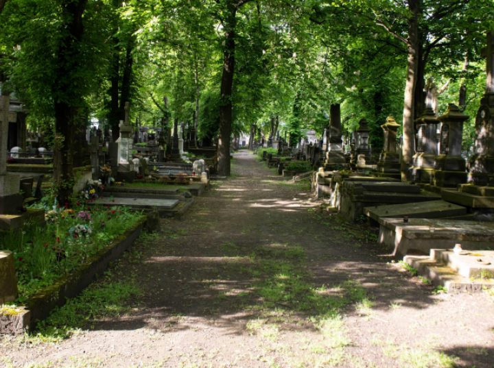 Fundacja Stare Powązki ma bezpłatną ofertę edukacyjną dla uczniów