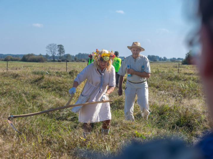 "Biebrzańskie Sianokosy" - popularyzacja tradycyjnego koszenia łąk