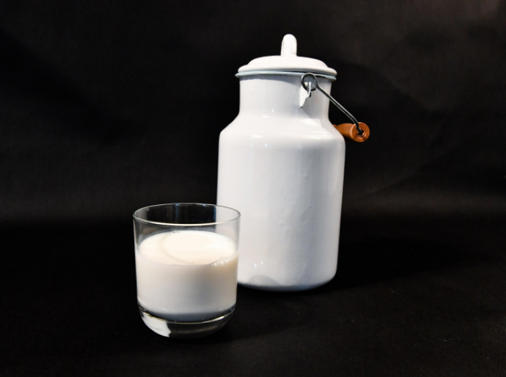 Naukowcy odtworzyli tradycyjny bałkański jogurt z mrówkami