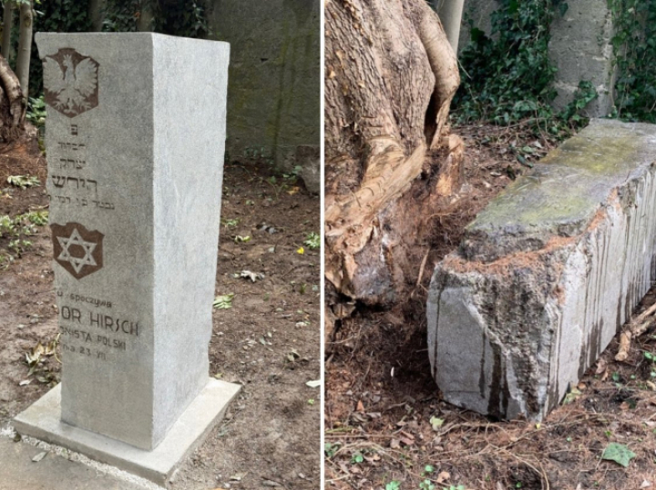 Muzeum Żydowskie: nagrobek legionisty odsłonięty po renowacji na kirkucie w Oświęcimiu