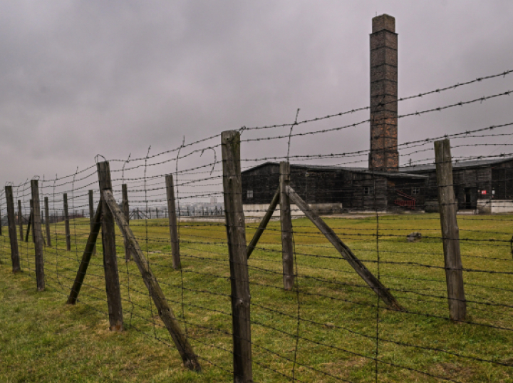 Psycholog: profile psychologiczne dozorczyń Majdanka powinny być dla nas przestrogą
