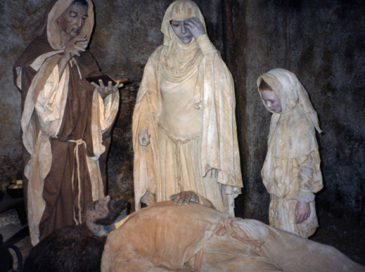 Do epidemii dżumy w poł. XIV w. w Europie mogła się przyczynić erupcja wulkanu