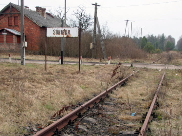 Uczczono pamięć żydowskich ofiar niemieckich obozów w Lubelskiem