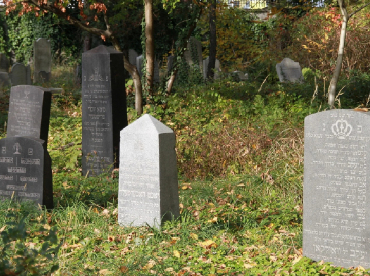 Projekt pawilonu z wystawą o Żydach oświęcimskich - jesienią