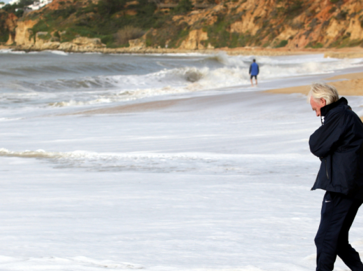 Na plaży znaleziono skamieliny kości różnych zwierząt sprzed 10 mln lat