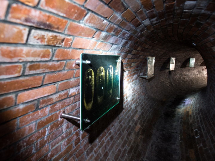 Spacer w stuletnim kanale „Dętka” atrakcją Światowego Dnia Wody