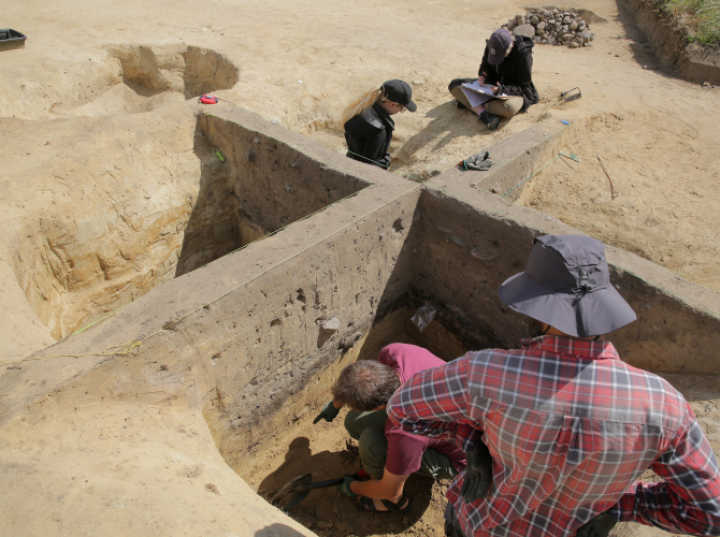 Archeolodzy odkryli zaginione miasto na terenie dawnej puszczy
