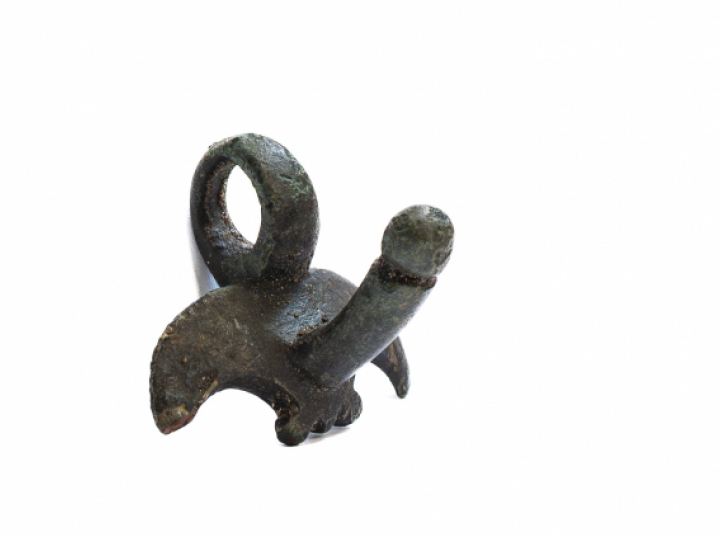 Amulet o nietypowym kształcie i monety rzymskie wykopano w Borach Tucholskich