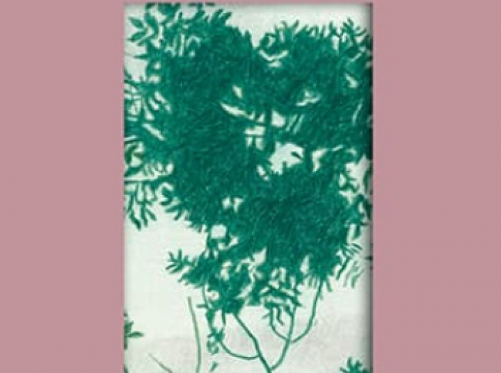 „Nie mówi się takich rzeczy”