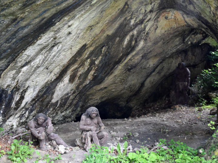 Neandertalczycy w Europie Środkowej polowali na żółwie błotne