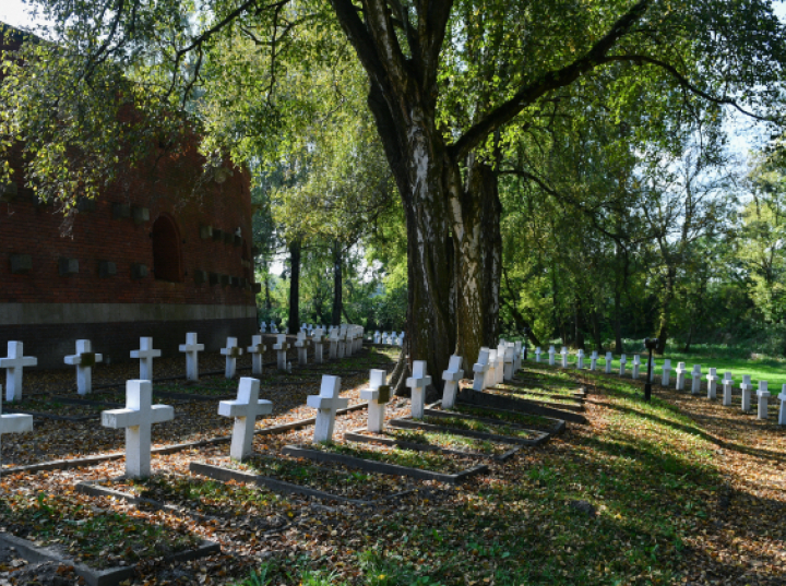 Będzie remont kolejnych grobów na terenie Rotundy Zamojskiej