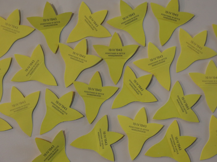 W niedzielę zostanie wręczony trzymilionowy kwiat w historii akcji Żonkile