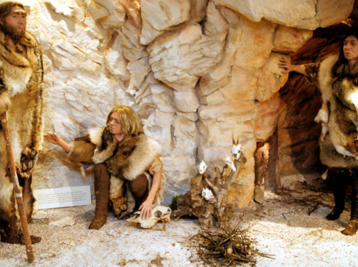 Europa Środkowo-Wschodnia - nie peryferie, ale istotny obszar dla neandertalczyków
