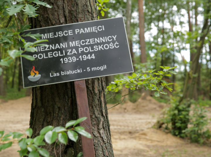 Naukowcy zakończyli badania miejsca ukrycia szczątków ofiar niemieckiego obozu KL Soldau