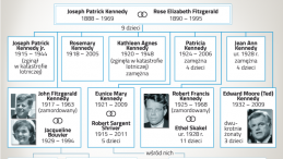 Genealogia Kennedych. Infografika.