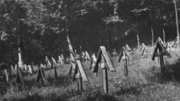 Łużna. Cmentarz wojenny na Pustkach. 1918-1939. Fot. NAC