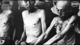 Rocznica wyzwolenia KL Auschwitz