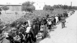 Niemcy prowadzą wypędzonych warszawiaków do obozu przejściowego Dulag 121 w Pruszkowie. Sierpień 1944 r. Fot. Bundesarchiv. Źródło: Wikimedia Commons