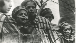 Dzieci w Auschwitz. Fot. Muzeum Auschwitz