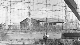 Obóz koncentracyjny KL Stutthof w Sztutowie. Ogrodzenie obozu koncentracyjnego, w tle baraki obozowe. Fot. PAP/M. Sprudin 