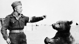 Niedźwiedź Wojtek z żołnierzem II Korpusu Polskiego gen. Andersa. Źródło: Wikimedia Commons