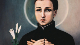 Św. Stanisław Kostka. Źródło: domena publiczna
