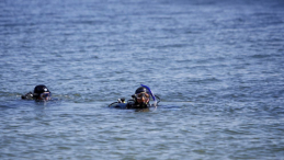 Płetwonurkowie – zdjęcie ilustracyjne. Fot. PAP/A. Warżawa