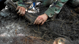 Archeolog wydobywa ze zbiorowej mogiły ludzkie kości znalezione na tzw. trupim polu w rejonie wsi Ostrówki na Ukrainie podczas ekshumacji w 2011 r. Pogrzebano tam szczątki około 300 Polaków, którzy w 1943 roku zginęli z rąk UPA. Fot. PAP/D. Delmanowicz