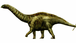 Apatozaur, rekonstrukcja wyglądu żyjącego 150 mln lat temu dinozaura, fot. Wikipedia