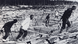 Więźniowie przy budowie Kanału Białomorsko-Bałtyckiego. Fot. Wikipedia