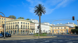 Ostatni remont palmy sfinansowano ze środków Centrum Rzeźby Polskiej w Orońsku pochodzących z budżetu MKiDN. Fot. PAP/Sz. Pulcyn