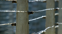Auschwitz I. Fot. PAP/Jerzy Ochoński