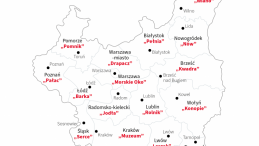 Armia Krajowa, infografika PAP/Adam Ziemienowicz