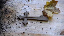 Polska dostała zgodę na ekshumacje w Zboiskach; w 1939 r. poległo tam kilkuset polskich żołnierzy, fot. PAP/Darek Delmanowicz