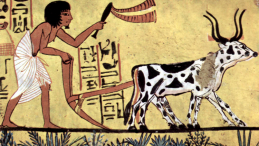 Starożytny Egipt - rolnictwo. Fot. Painter of the burial chamber of Sennedjem, Public domain, via Wikimedia Commons