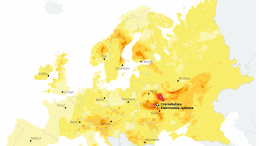 Radioaktywność po Czarnobylu. Infografika PAP/Michał Czernek