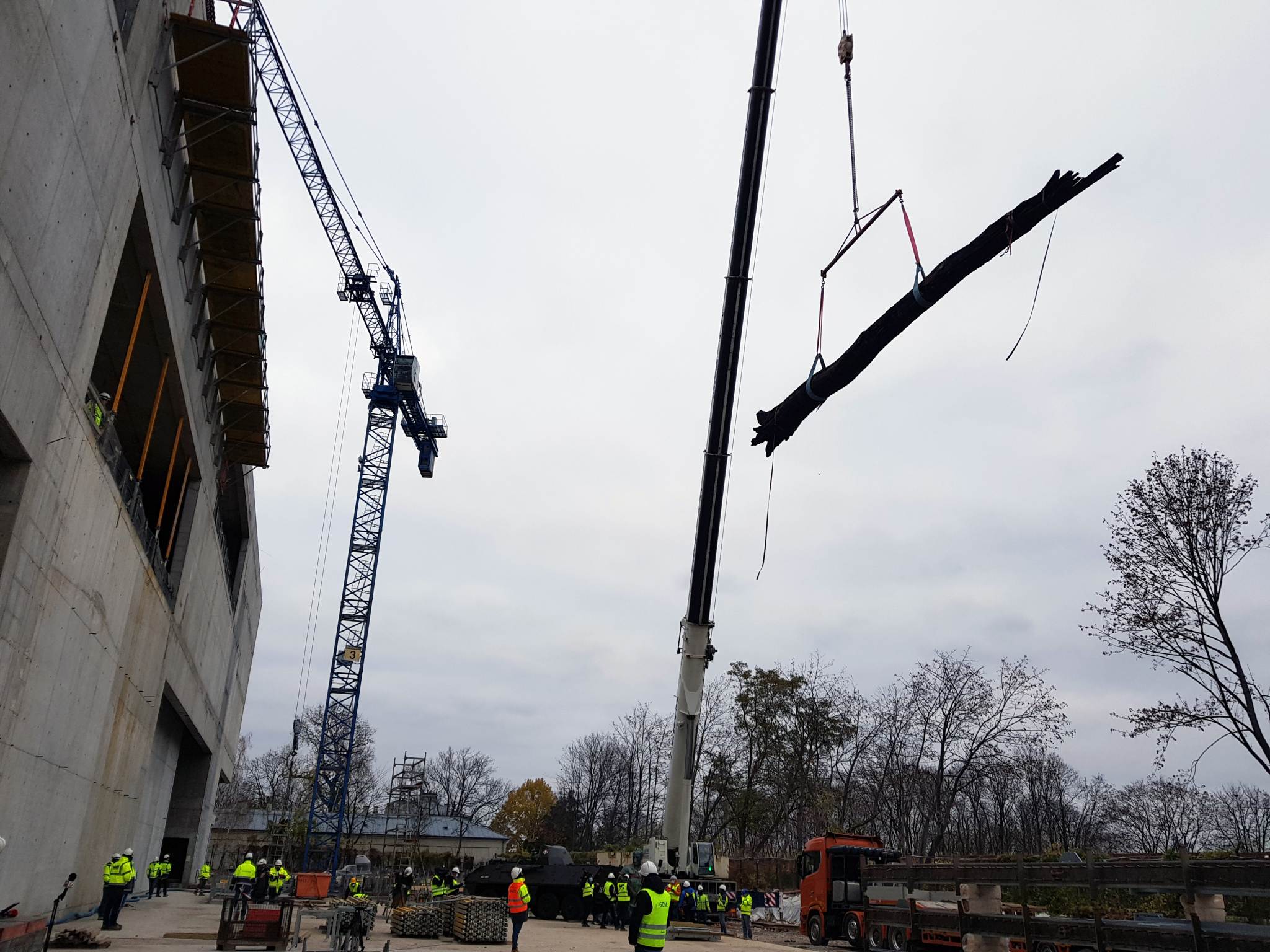 Relikty pnia ponad tysiącletniego czarnego dębu odnalezione w prywatnym stawie we wsi Wielkie Walichnowy na wschód od Pelplina. Fot: Mariusz Bodnar, Michał Janiszewski, Małgorzata Kowalczyk / MHP