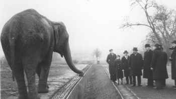 Warszawskie zoo. 1938. Fot. NAC